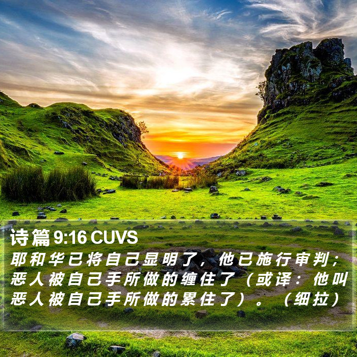 诗 篇 9:16 CUVS Bible Study