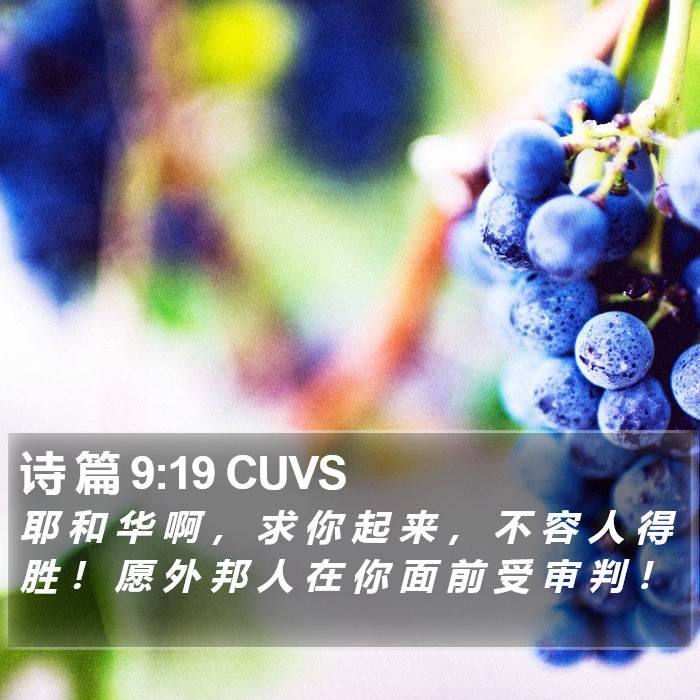 诗 篇 9:19 CUVS Bible Study