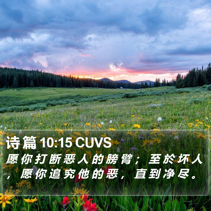 诗 篇 10:15 CUVS Bible Study
