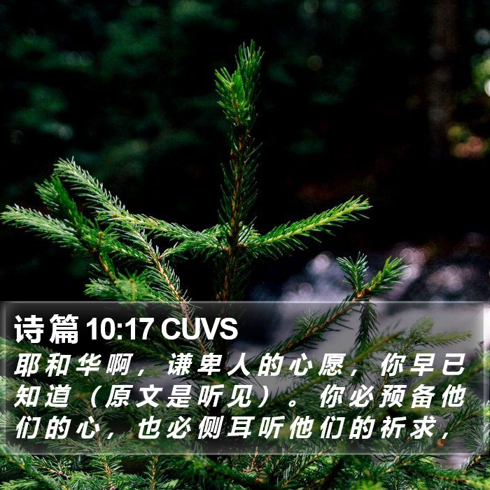 诗 篇 10:17 CUVS Bible Study