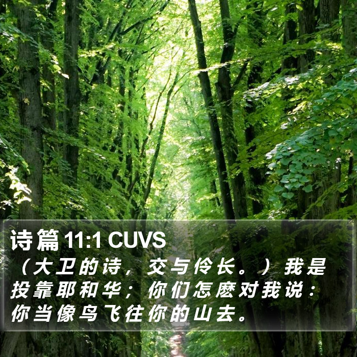 诗 篇 11:1 CUVS Bible Study