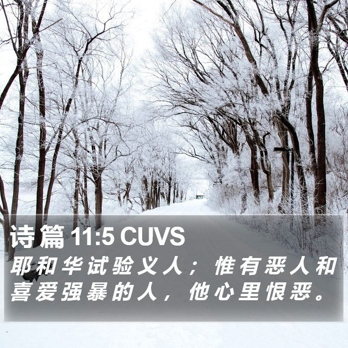 诗 篇 11:5 CUVS Bible Study