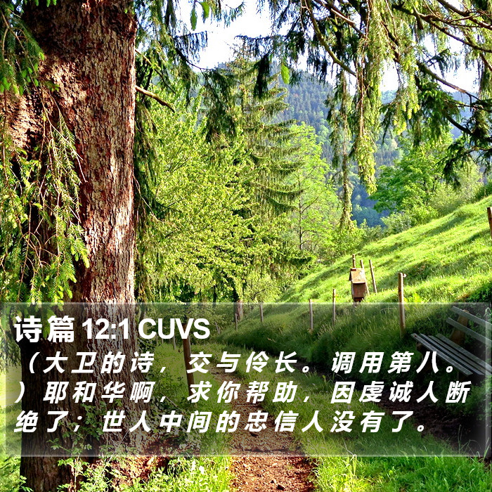 诗 篇 12:1 CUVS Bible Study