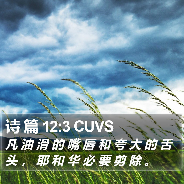 诗 篇 12:3 CUVS Bible Study