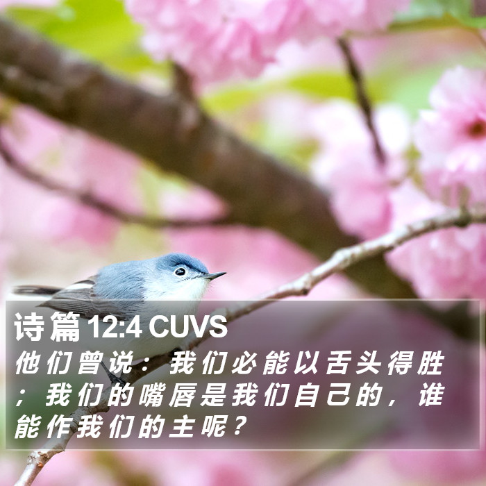 诗 篇 12:4 CUVS Bible Study