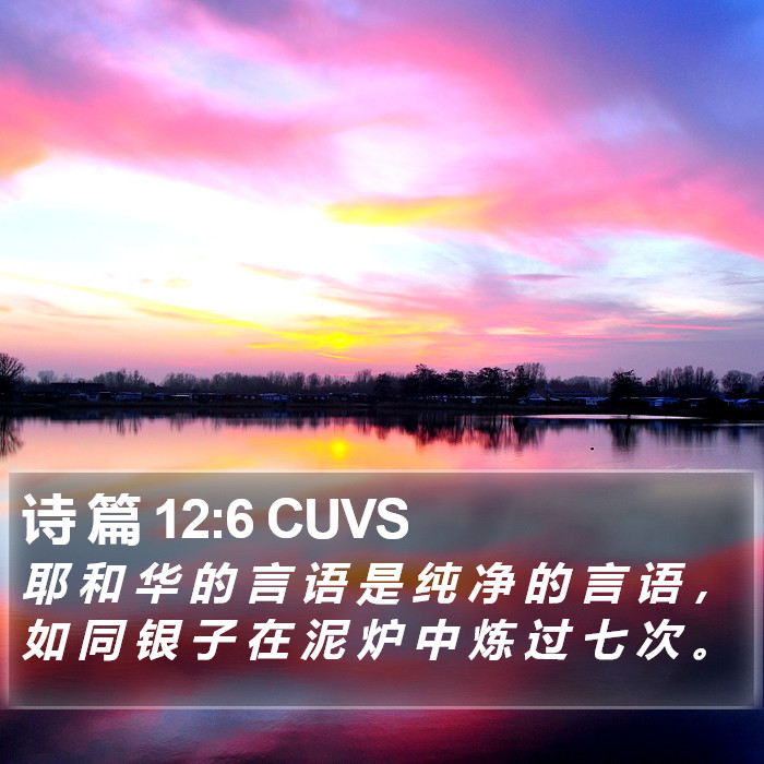 诗 篇 12:6 CUVS Bible Study