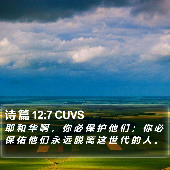 诗 篇 12:7 CUVS Bible Study