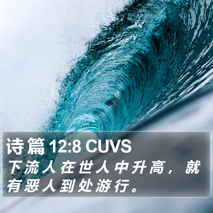 诗 篇 12:8 CUVS Bible Study