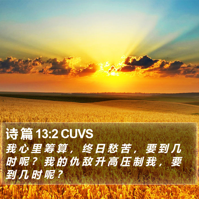 诗 篇 13:2 CUVS Bible Study