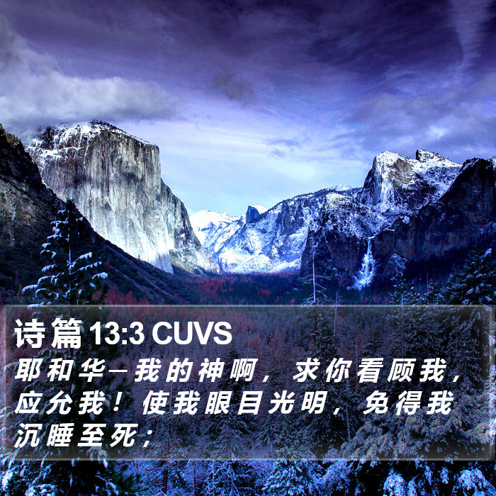 诗 篇 13:3 CUVS Bible Study