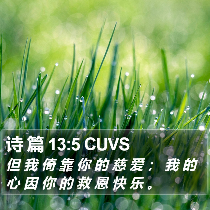 诗 篇 13:5 CUVS Bible Study