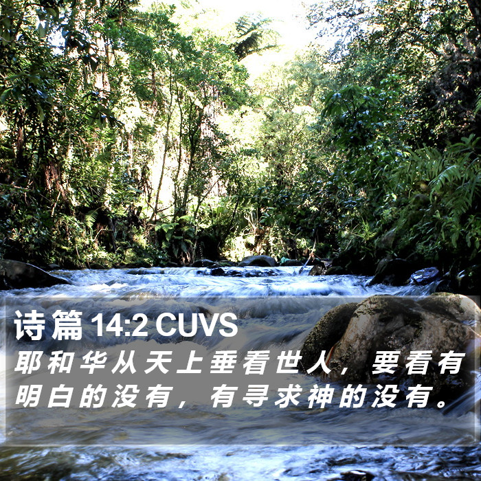 诗 篇 14:2 CUVS Bible Study