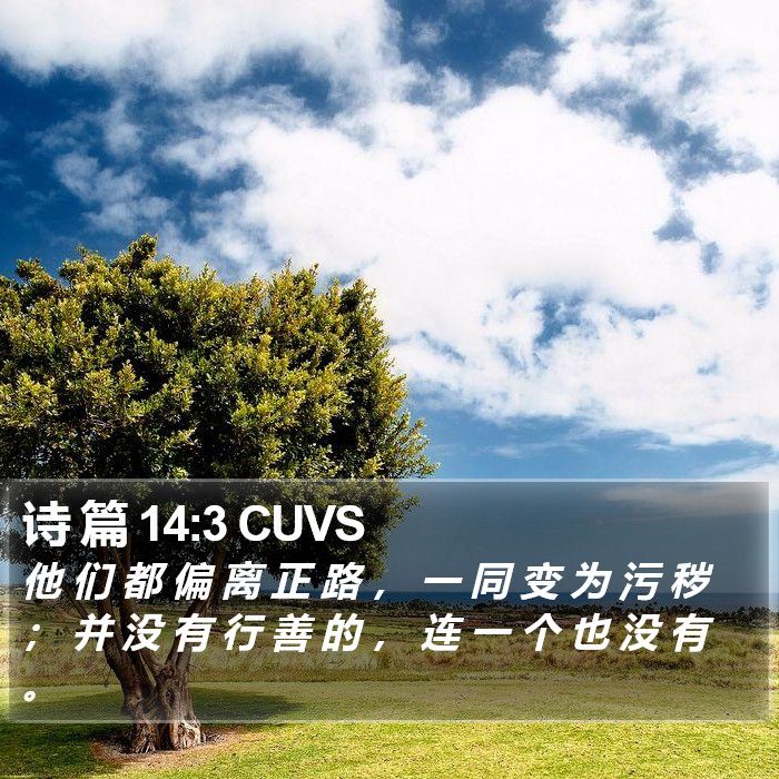 诗 篇 14:3 CUVS Bible Study