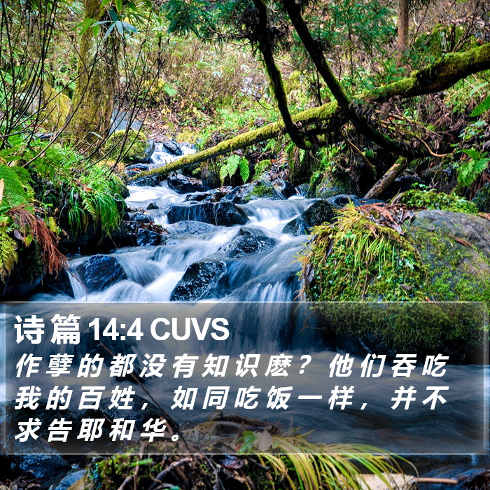 诗 篇 14:4 CUVS Bible Study