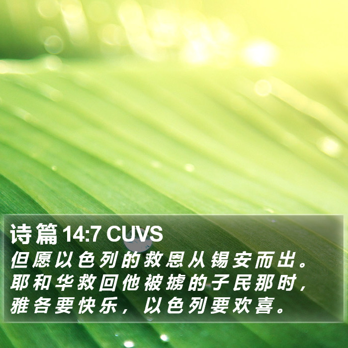 诗 篇 14:7 CUVS Bible Study