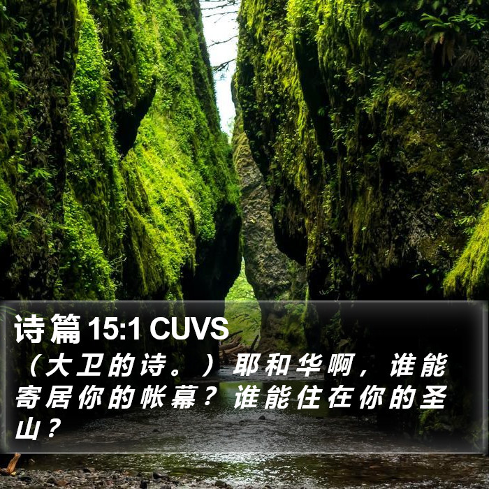 诗 篇 15:1 CUVS Bible Study