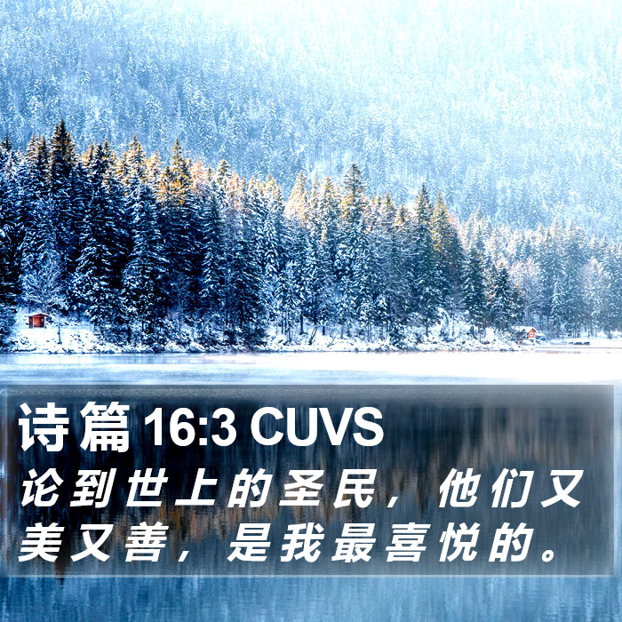 诗 篇 16:3 CUVS Bible Study