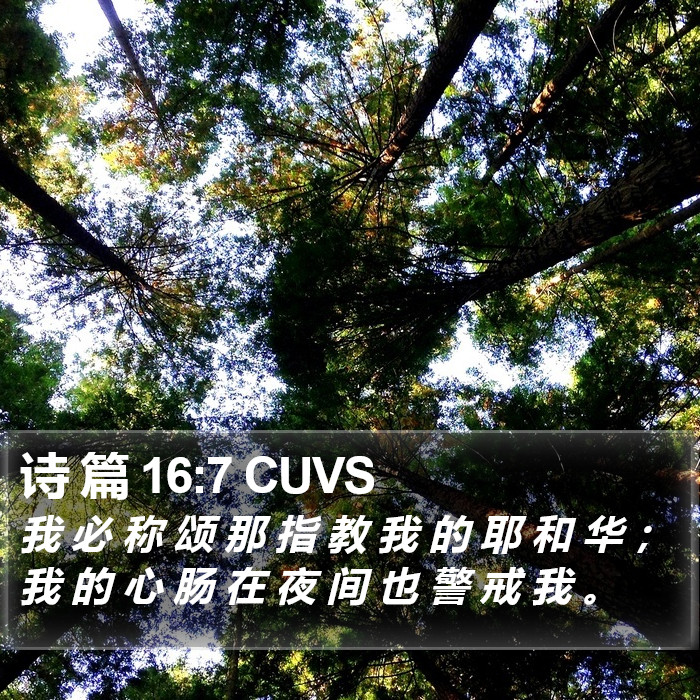 诗 篇 16:7 CUVS Bible Study