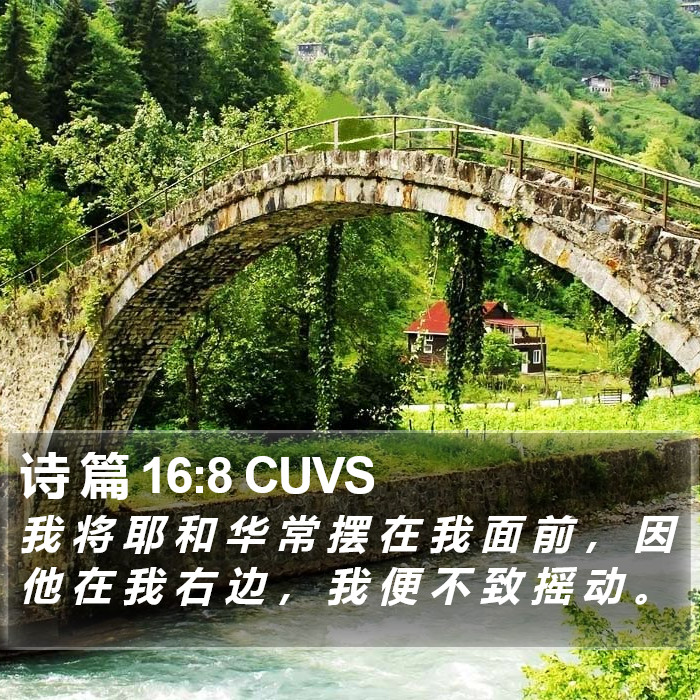 诗 篇 16:8 CUVS Bible Study