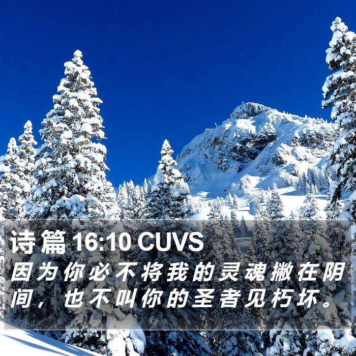 诗 篇 16:10 CUVS Bible Study