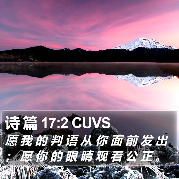 诗 篇 17:2 CUVS Bible Study