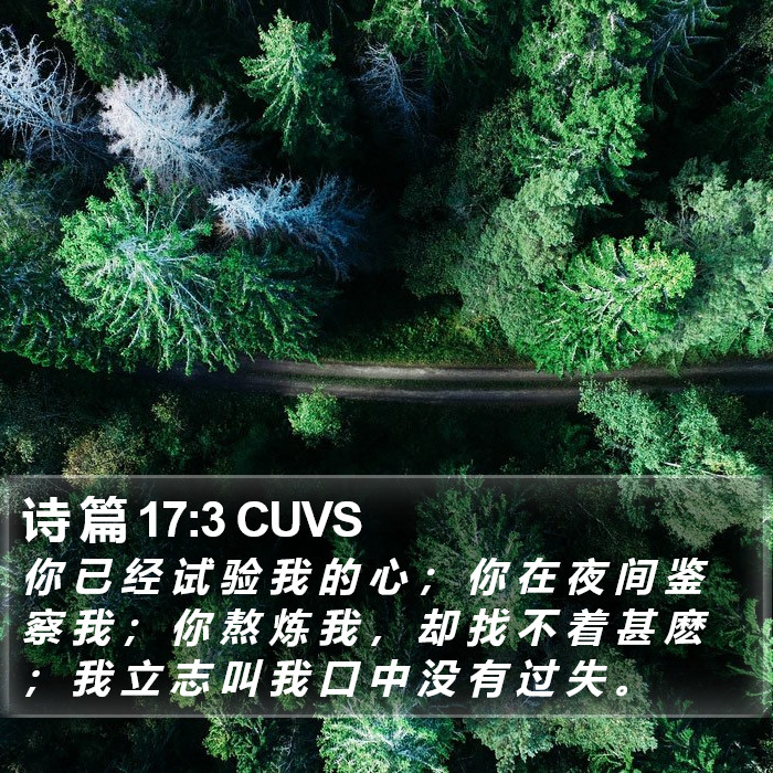 诗 篇 17:3 CUVS Bible Study