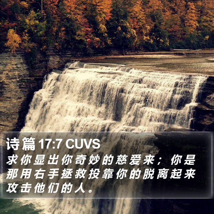 诗 篇 17:7 CUVS Bible Study