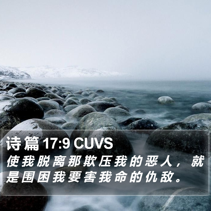 诗 篇 17:9 CUVS Bible Study