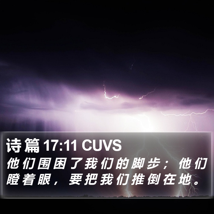 诗 篇 17:11 CUVS Bible Study