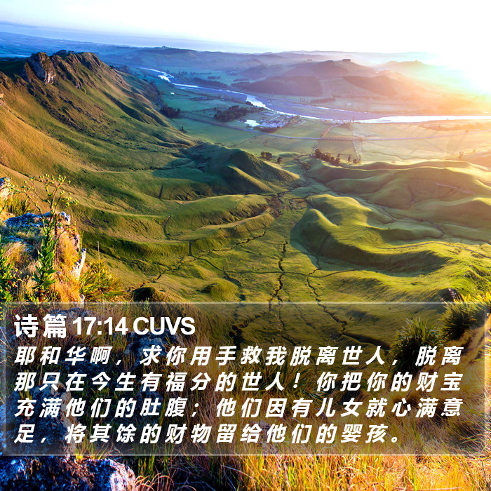 诗 篇 17:14 CUVS Bible Study