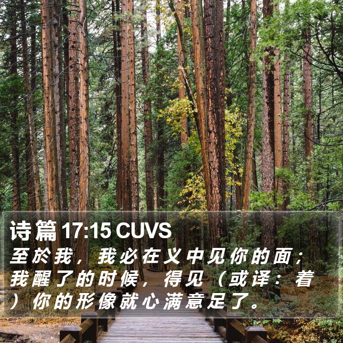 诗 篇 17:15 CUVS Bible Study