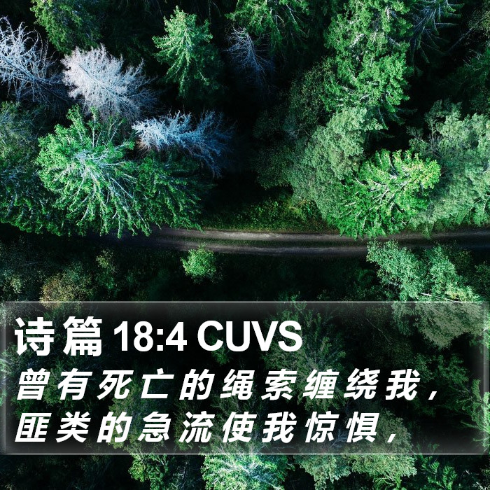 诗 篇 18:4 CUVS Bible Study