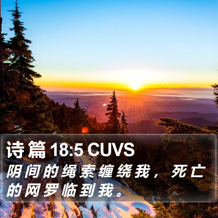 诗 篇 18:5 CUVS Bible Study