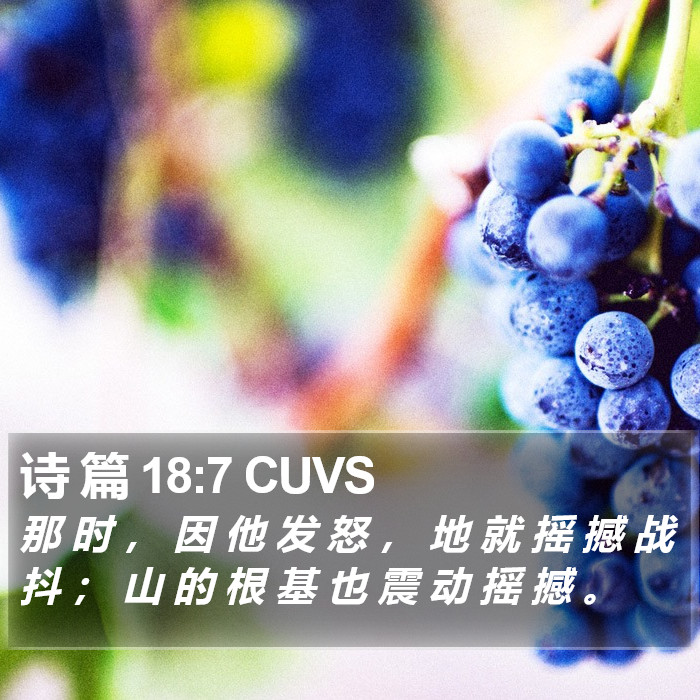 诗 篇 18:7 CUVS Bible Study