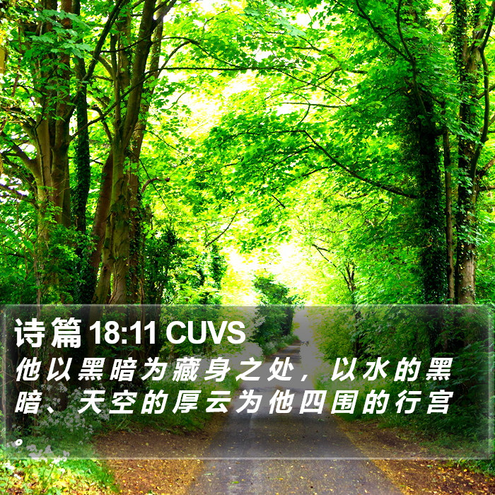 诗 篇 18:11 CUVS Bible Study