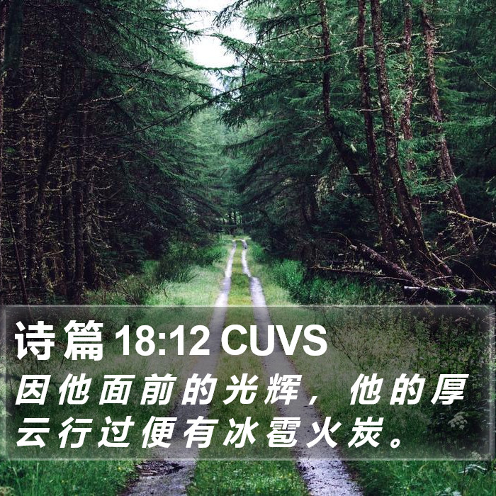 诗 篇 18:12 CUVS Bible Study