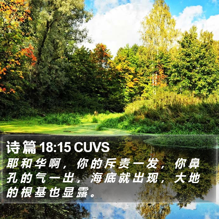 诗 篇 18:15 CUVS Bible Study