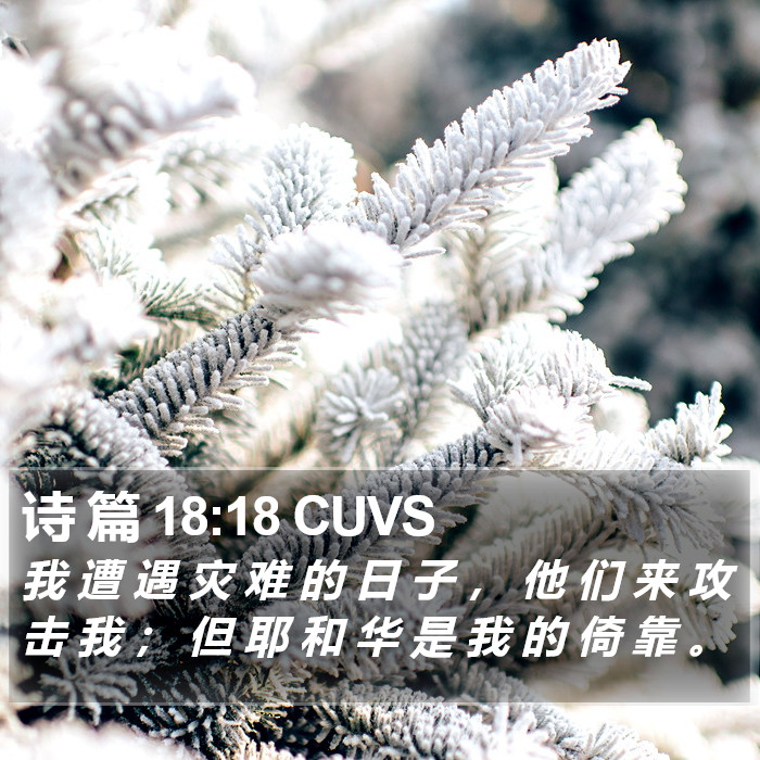 诗 篇 18:18 CUVS Bible Study