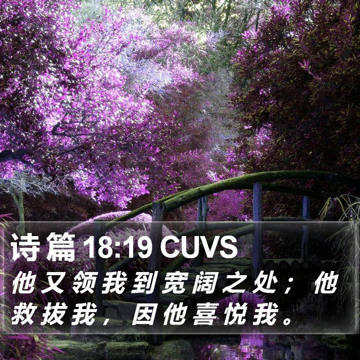 诗 篇 18:19 CUVS Bible Study