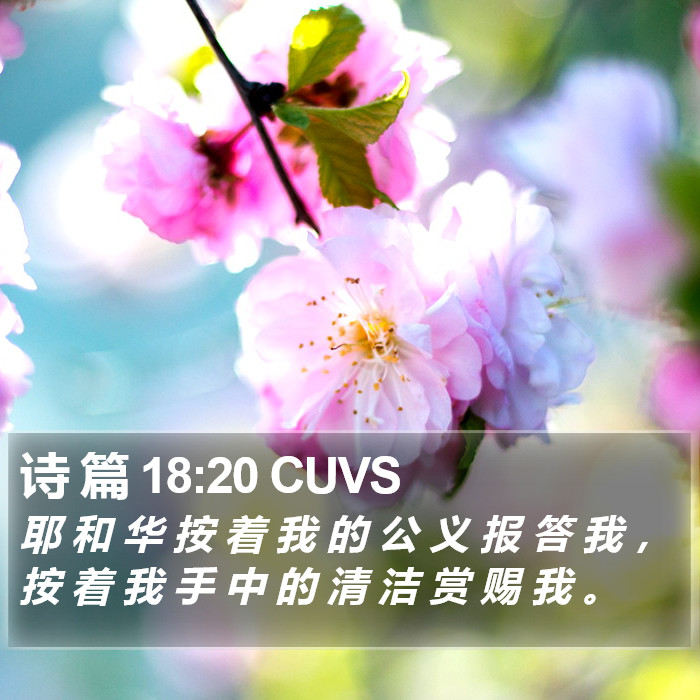 诗 篇 18:20 CUVS Bible Study