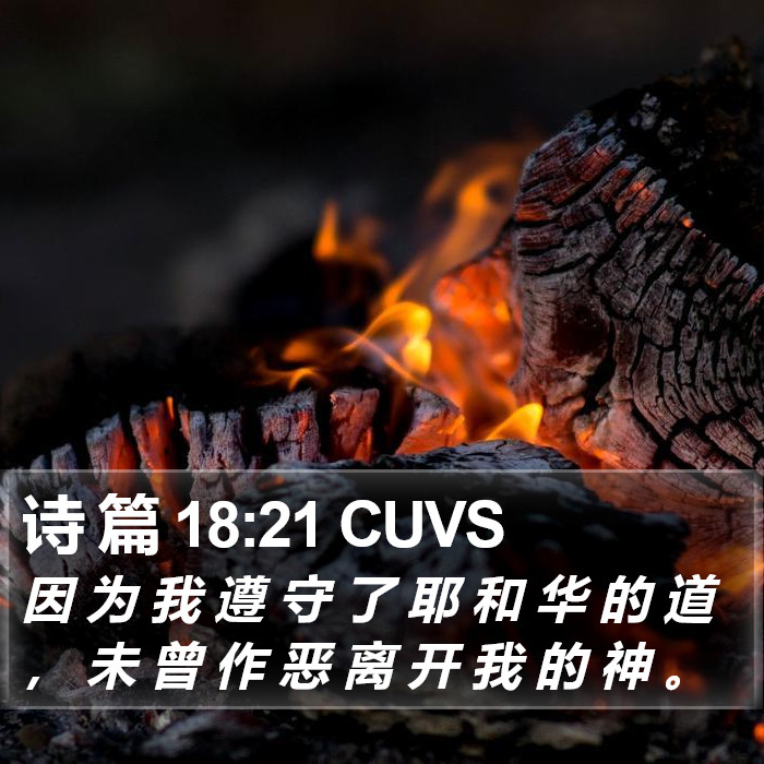 诗 篇 18:21 CUVS Bible Study