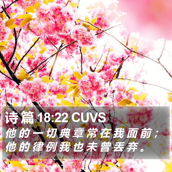 诗 篇 18:22 CUVS Bible Study