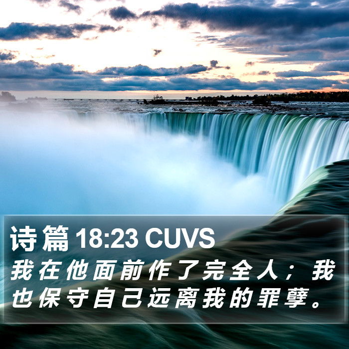 诗 篇 18:23 CUVS Bible Study