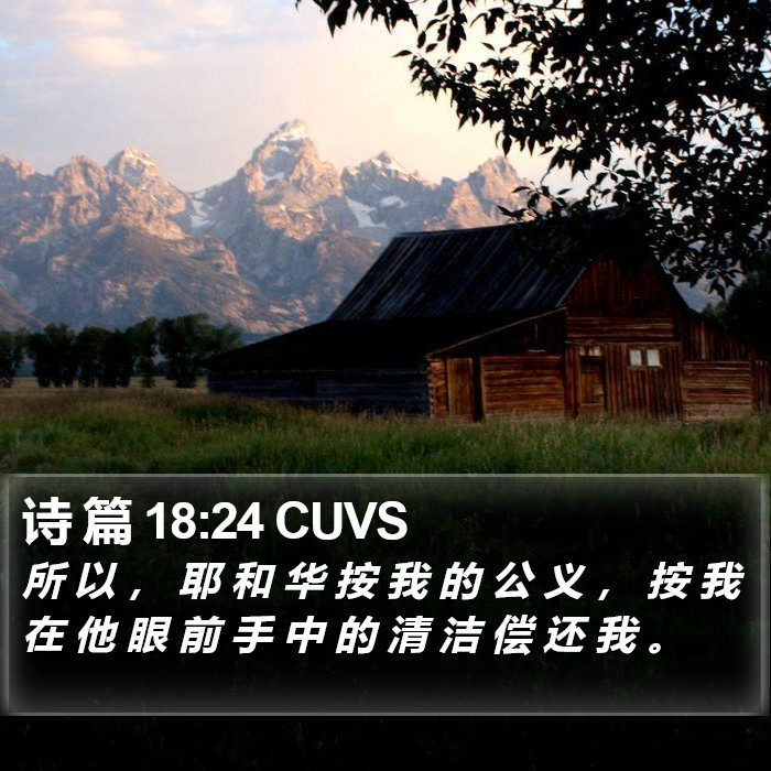 诗 篇 18:24 CUVS Bible Study