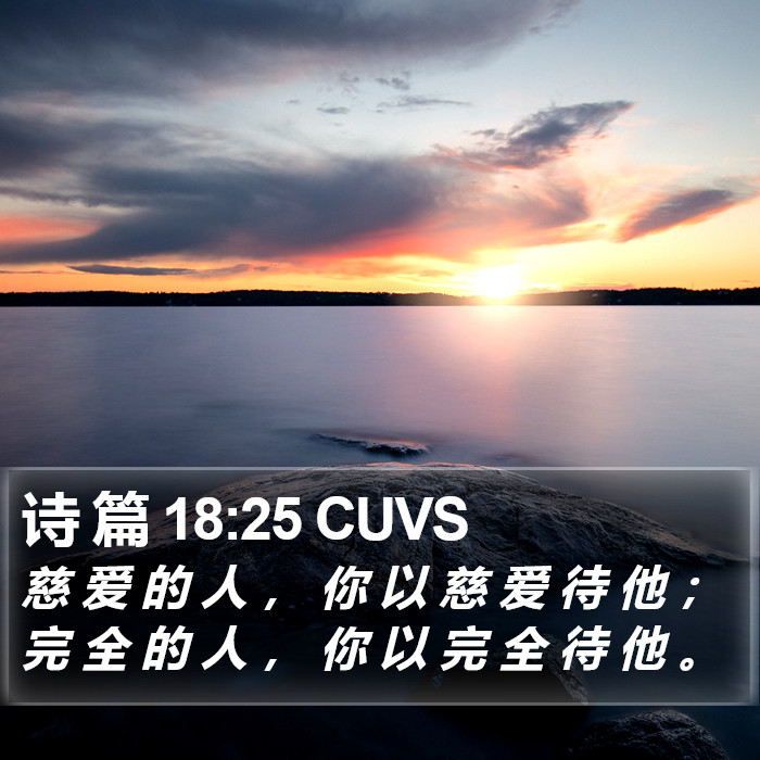 诗 篇 18:25 CUVS Bible Study