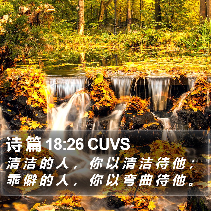 诗 篇 18:26 CUVS Bible Study