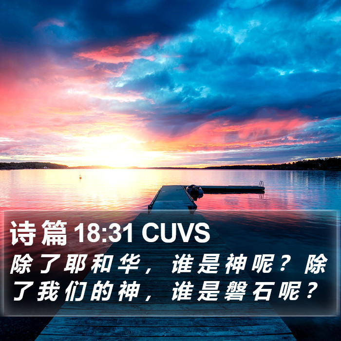 诗 篇 18:31 CUVS Bible Study