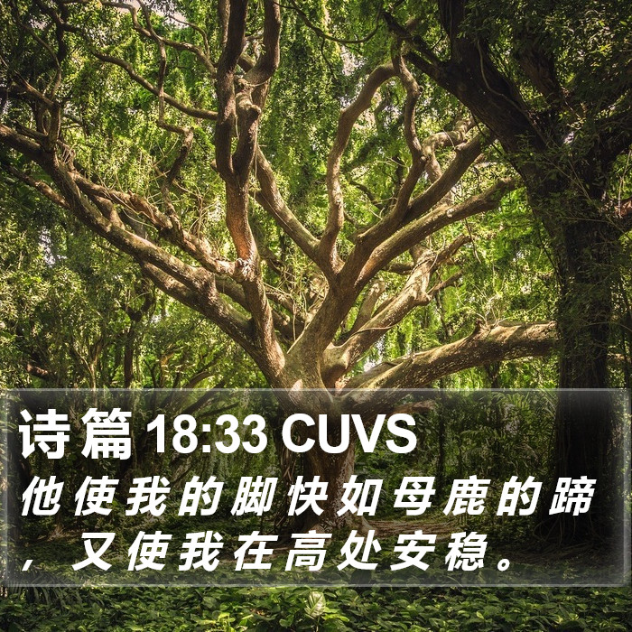 诗 篇 18:33 CUVS Bible Study