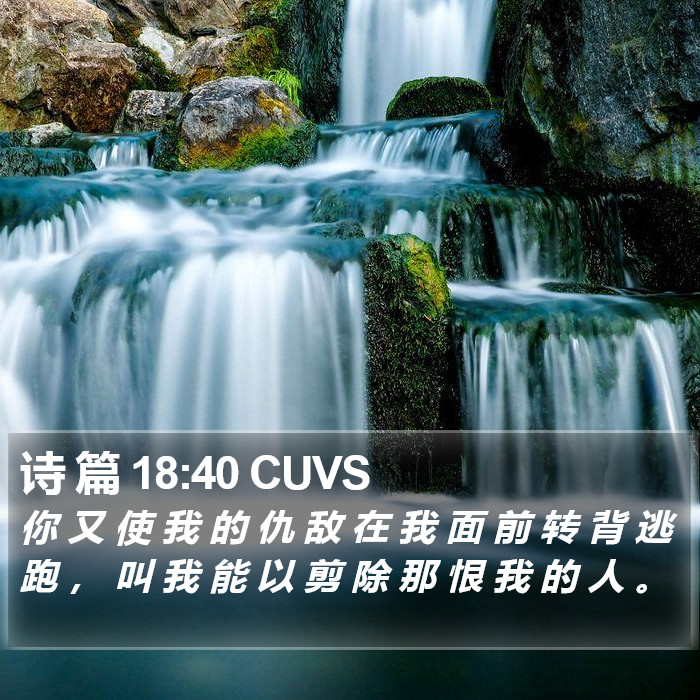 诗 篇 18:40 CUVS Bible Study