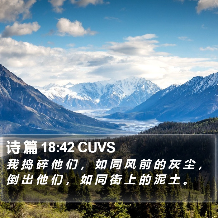 诗 篇 18:42 CUVS Bible Study